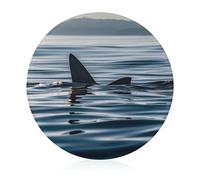Shark Fin Water Cutting Board, Round Tempered Glass Chopping Block Unique Kitchen Cutting Boards for Pizza, Vegetables, Fruits, Cheese And Charcuterie