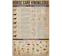 Shark Knowledge Metal Sign - 8x12 Inch | Types of Shark Poster | Ocean Animal Wall Art for Bedroom & Science Spaces | Enthusiast Gift