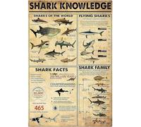Shark Knowledge Metal Tin Sign Sharks Of The World Funny Poster School Cafe Bathroom Kitchen Home Art Wall Decoration Plaque 8x12 inch