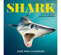 Shark Mini Wall Calendar 2026