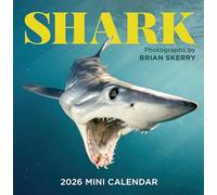 Workman Calendars Mini Wall Calendar Shark 2026