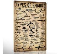 Shark Room Decor Types Of Shark Poster Knowledge Tin Sign Ocean Animal Posters Whale Decor For Bedroom Science Wall Art Marine Biology Gifts For Lovers 16x12 Inch
