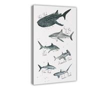 Shark Species Watercolor Labelled Nautical Nursery Canvas Poster Bedroom Decor Landscape Office Room Decor Gift 20x30inch(50x75cm)