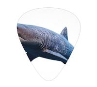 Shark swimming Printed pick set - 12 pieces, thin, medium and thick guitar picks, suitable for guitar, bass, electric guitar and ukulele