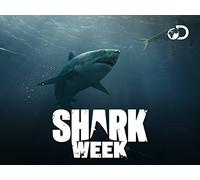 Shark Week 2014