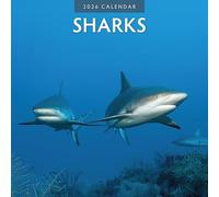 Sharks - 2026 Square Wall Calendar - by Red Robin Publishing
