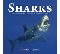 Sharks: Ancient Predators in a Modern Sea