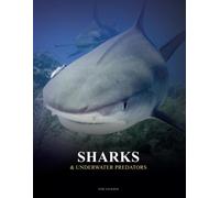 Sharks and Underwater Predators
