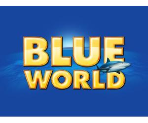 Sharks at Palau's Blue Corner + Ocean Cave Diving in the Bahamas