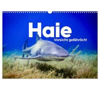 Sharks - beware! UK-Version (Wall Calendar 2026 DIN A3 Landscape), CALVENDO 12 Month Wall Calendar