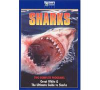 Sharks [DVD] [Region 1] [US Import] [NTSC]