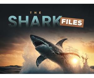 Sharks of the Red Triangle