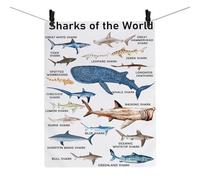 Sharks Of The World Kitchen Towel Sharks Tea Towel For Sharks Lover Killer Sharks Gift Ocean Animal Lover Dish Towel (Sharks TOWEL 2U)
