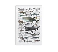 Sharks of The World Poster2 Wall Art Poster Scroll Canvas Painting Picture Living Room Decor Home 20x30inch(50x75cm)