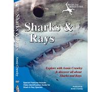 Sharks & Rays
