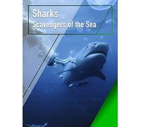 Sharks - Scavengers of the Sea