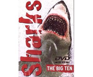SHARKS - THE BIG TEN DVD