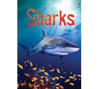 Sharks (Usborne Beginners)
