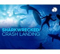 Sharkwrecked: Crash Landing - Season 1