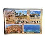 Sharm EL Sheikh Egypt Red Sea Souvenir, Sharm EL Sheikh Fridge Magnet, Egypt Travel Souvenir Gift Items, South Sinai