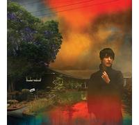 Sharon Van Etten - We've Been Going About This All Wrong [CASSETTE]