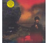 Sharon Van Etten We've Been Going About This All Wrong - Marble Smoke + Print - Sealed UK Autographed vinyl LP album record JAG395LP-C1 Jagjaguwar
