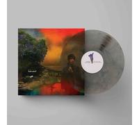 Sharon Van Etten - We've Been Going About This All Wrong (Limited Marble Smoke Vinyl) [VINYL]