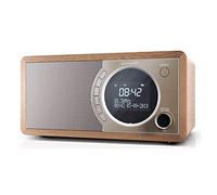 Sharp DR-450 Personal Digital Brown, Stainless steel