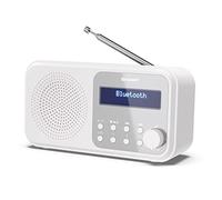 Sharp DR-P420 Portable Digital White