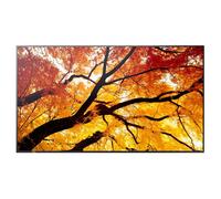 Sharp MultiSync E244F 24" LCD display for office and industrial applications
