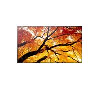 Sharp MultiSync M502 50" Professional Large Format Display