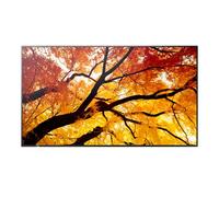 Sharp MultiSync M502 Digital signage flat panel 127 cm (50") LCD 550 cd/m 4K Ultra HD Black 24/7