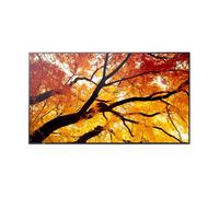 Sharp MultiSync M752 75" Professional Large Format Display