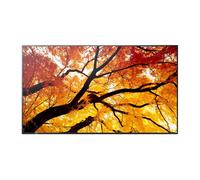 Sharp MultiSync M862 86" Professional Large Format Display