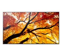 Sharp MultiSync PN-M982 Interactive flat panel 2.48 m (97.5") LED