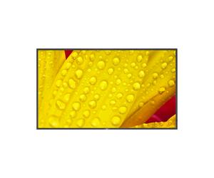 Sharp NEC 65" Digital Signage Display UHD 4K MultiSync M651-2 - 60006086 - New