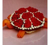 Sharp Pins - Turtle Rock [VINYL]