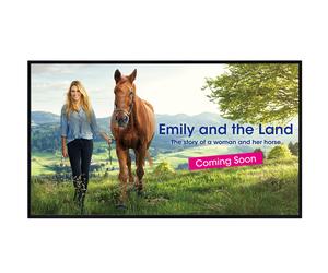 Sharp PN-HW431 43" signage display with media player, LAN & 4K