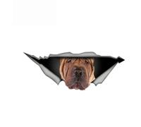 Sharpei Car Sticker Personality Vinyl Decal Car Sticker on Motorcycle Laptop 13cm(13 cm)