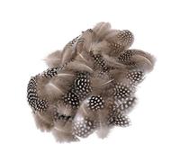 Sharplace 50pcs Guinea Fowl Feathers Hen Feathers for Hair Decoration Styling Accessory, Beige