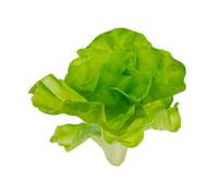 Sharplace Artificial Vegetable,Simulation Vegetable Teaching Aid Realistic Faux Veggie Fake Veggie Model for Wedding Party Holiday Shop, Small lettuce17x26cm
