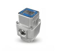 Sharplace Gas Meter Electronic Gas Volume Meter with Two Part Readout System and Strainer Mesh Connector for Clean Gas Lines Suitable for Process Control, DN25/1-Inch