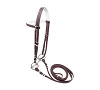 Sharplace Horse Bridle with Rein Stainless Steel Bit Adjustable Comfortable Horse Riding Rope Headstall for Course Training Lesson, brown 13.5cm