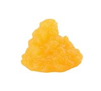 Sharplace Human Body Model Teaching Supply Educational Tool Science Learning Toy Motivation Model for Nutritionist Nurse