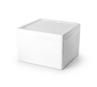 Sharplace Insulated Medical Case Transport Container Thermal Storage Box Medicine Carrier With Pressure Resistant Build And Insulation For Sensitive Supplies, 260 * 260 * 170mm