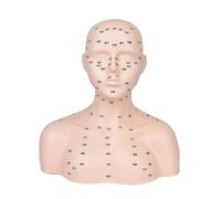 Sharplace Mannequin Head with Acupressure Point Compact Soft Realistic Professional Practice Training Head Model for SPA Facial Massage