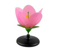 Sharplace Peach Plant Model Learning Toys, Realistic Supplies Biology Teaching Model, Petal Structure for Researching, Training