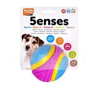 Sharples Beef Scented Five Senses rubber ball for dogs, medium