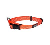 Sharples Reflect'a'Collar, Small