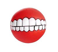 Simply Pet Squeaky Teeth for Dogs - Single